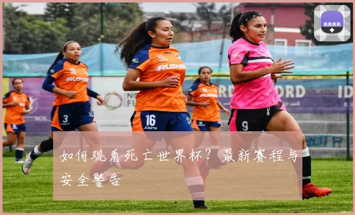 如何观看死亡世界杯？最新赛程与安全警告