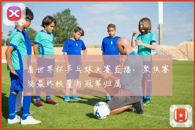 看世界杯乒乓球决赛直播,聚焦赛场最终较量与冠军归属