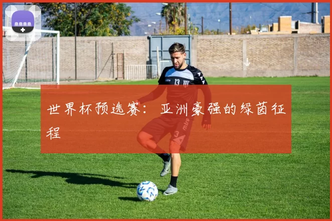 世界杯预选赛:亚洲豪强的绿茵征程
