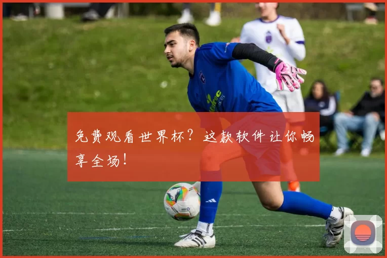 免费观看世界杯？这款软件让你畅享全场！