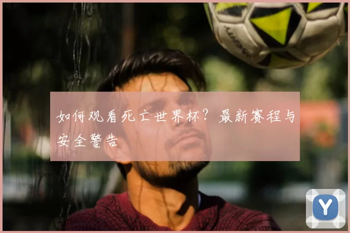 如何观看死亡世界杯？最新赛程与安全警告