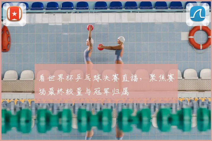 看世界杯乒乓球决赛直播,聚焦赛场最终较量与冠军归属