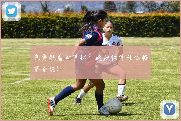 免费观看世界杯?这款软件让你畅享全场!