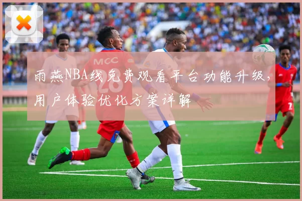 雨燕NBA线免费观看平台功能升级，用户体验优化方案详解