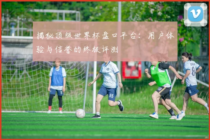 揭秘顶级世界杯盘口平台:用户体验与信誉的终极评测