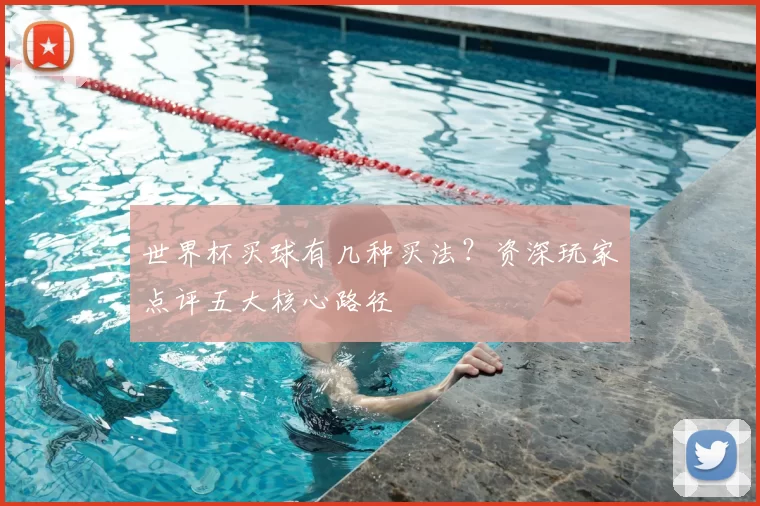 世界杯买球有几种买法?资深玩家点评五大核心路径