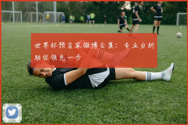 世界杯预言家微博合集：专业分析助你领先一步
