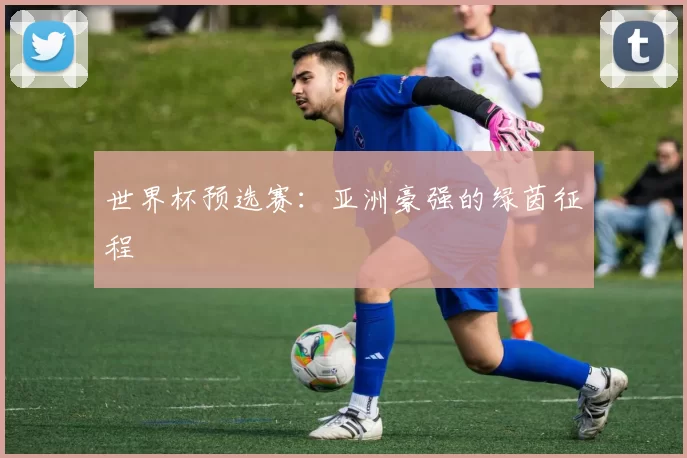 世界杯预选赛:亚洲豪强的绿茵征程